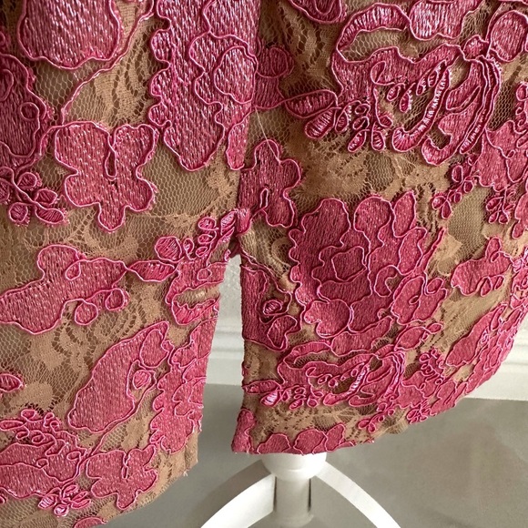 Eliza J Nude and Pink Lace Sheath Cocktail Dress - Picture 5 of 10